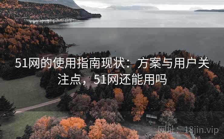 51网的使用指南现状：方案与用户关注点，51网还能用吗