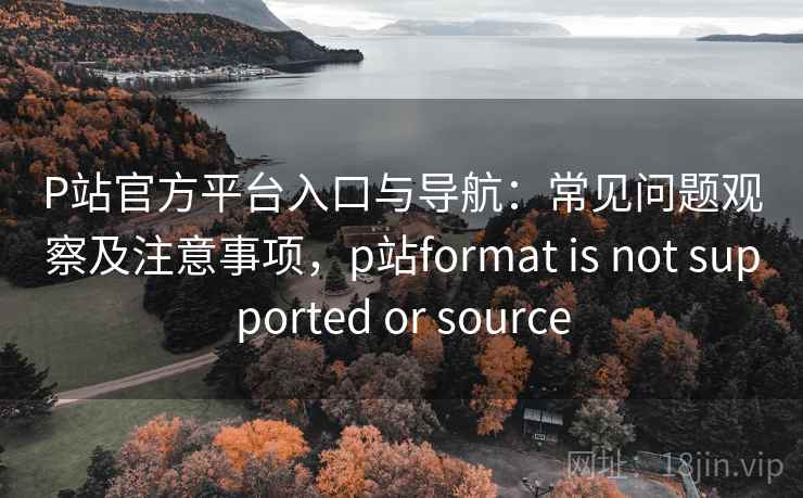 P站官方平台入口与导航：常见问题观察及注意事项，p站format is not supported or source