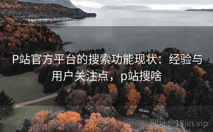 P站官方平台的搜索功能现状：经验与用户关注点，p站搜啥