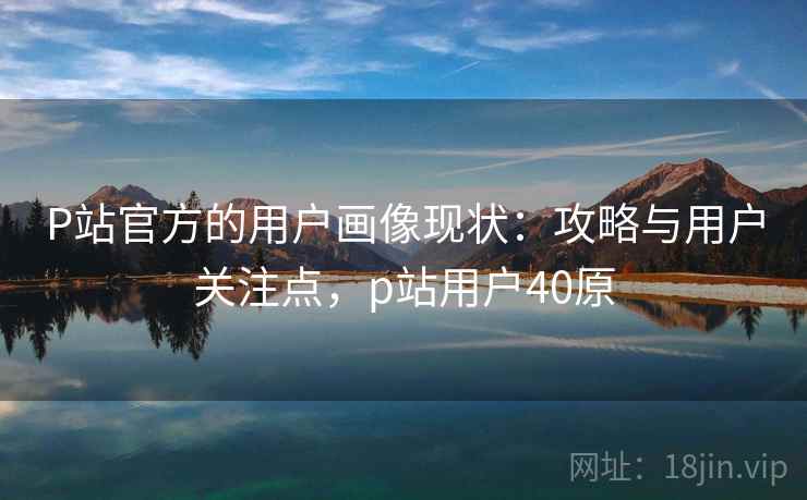 P站官方的用户画像现状:攻略与用户关注点,p站用户40原 P站官方的用户画像现状:攻略与用户关注点,p站用户40原