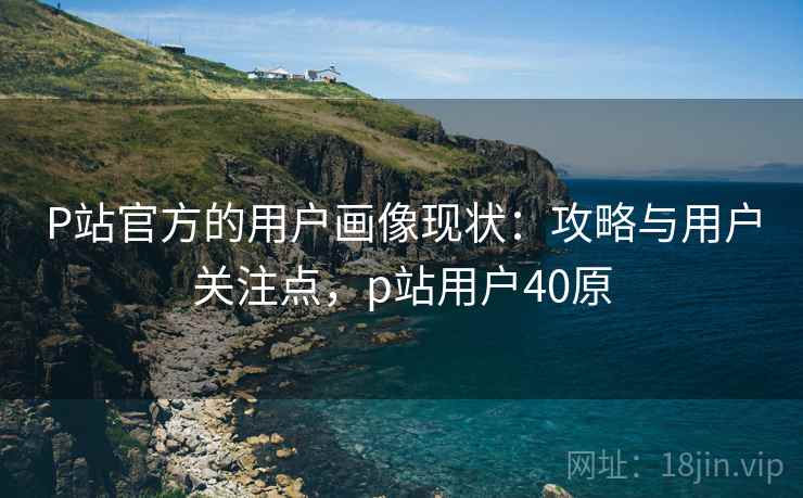 P站官方的用户画像现状:攻略与用户关注点,p站用户40原 P站官方的用户画像现状:攻略与用户关注点,p站用户40原
