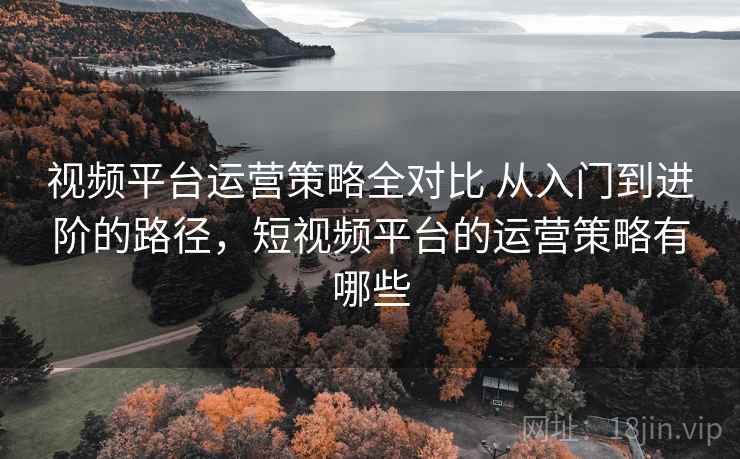 视频平台运营策略全对比 从入门到进阶的路径，短视频平台的运营策略有哪些