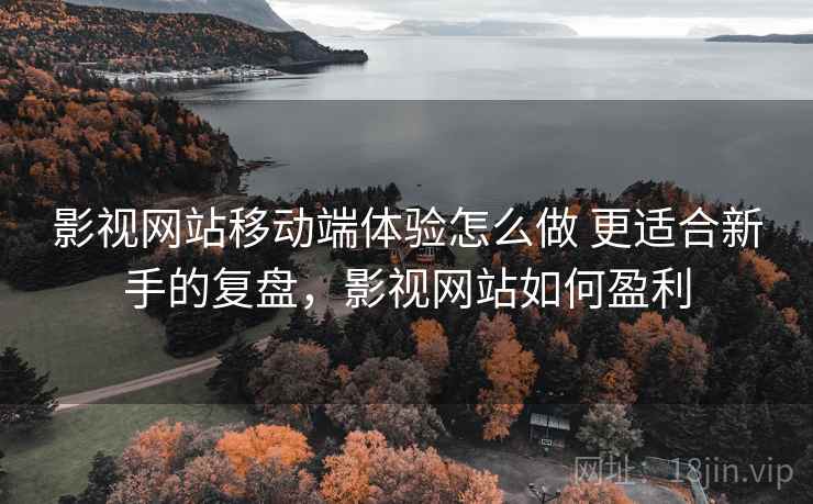 影视网站移动端体验怎么做 更适合新手的复盘，影视网站如何盈利