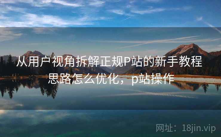 从用户视角拆解正规P站的新手教程 思路怎么优化，p站操作