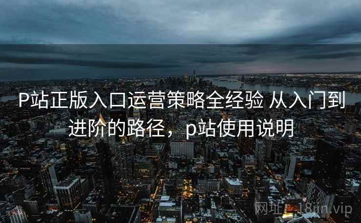 P站正版入口运营策略全经验 从入门到进阶的路径，p站使用说明
