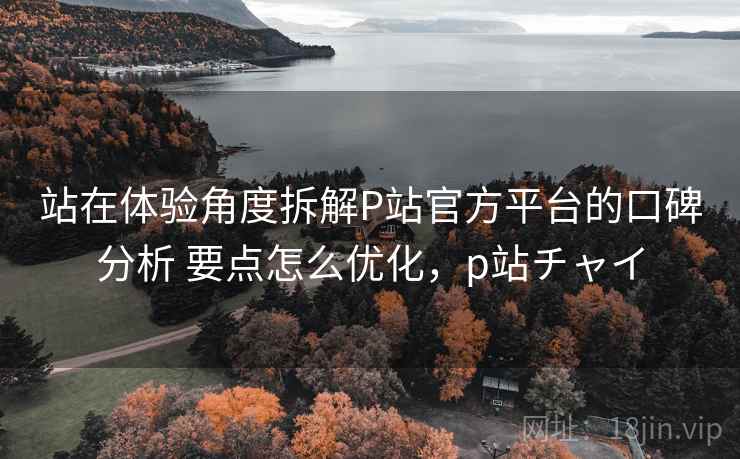 站在体验角度拆解P站官方平台的口碑分析 要点怎么优化，p站チャイ