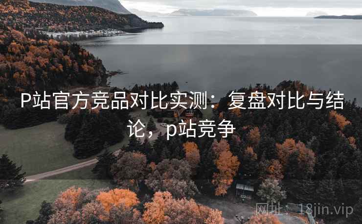 P站官方竞品对比实测：复盘对比与结论，p站竞争