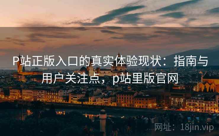 P站正版入口的真实体验现状：指南与用户关注点，p站里版官网