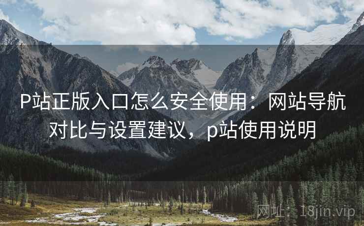 P站正版入口怎么安全使用：网站导航对比与设置建议，p站使用说明