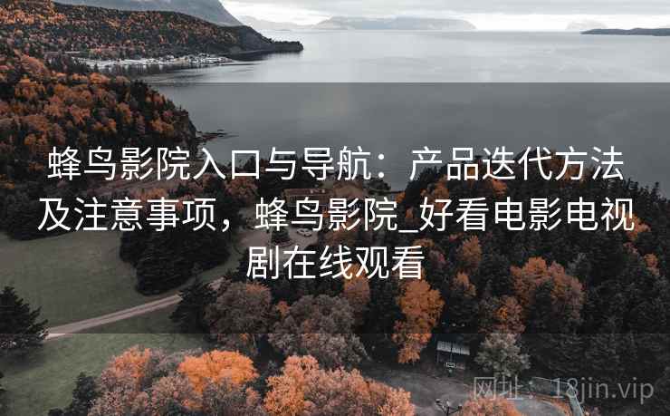 蜂鸟影院入口与导航：产品迭代方法及注意事项，蜂鸟影院_好看电影电视剧在线观看